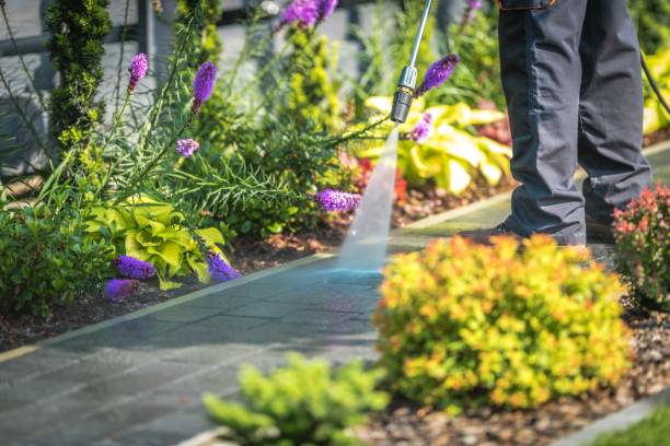 Best Post-Construction Pressure Washing  in Granite Falls, MN