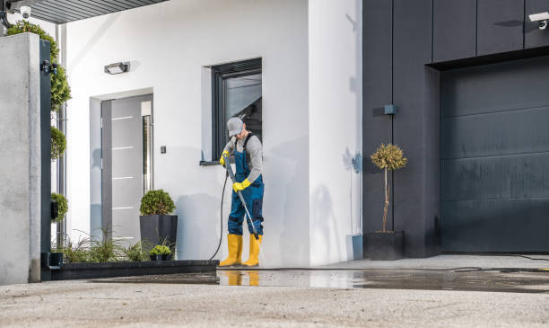 Best Roof Washing  in Granite Falls, MN